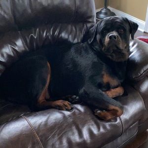 Meet your Posher, Matthew